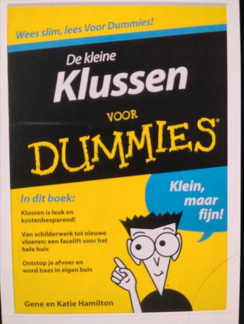 Gene Hamilton - De kleine klussen voor Dummies, Boeken, Hobby en Vrije tijd, Zo goed als nieuw, Tekenen en Schilderen, Ophalen of Verzenden