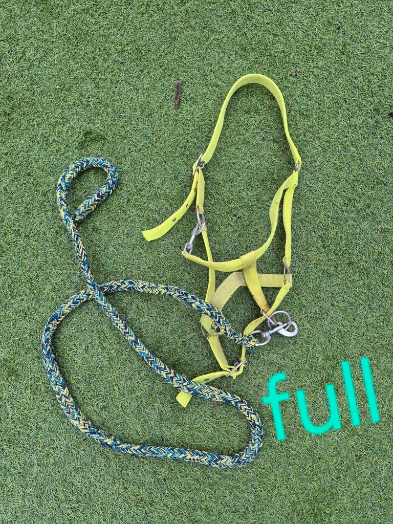 Geel halster, Dieren en Toebehoren, Paarden en Pony's | Overige Paardenspullen, Ophalen, Overige soorten