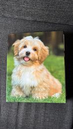 2-rings multomap met afbeelding hond, gratis!, Ophalen, Gebruikt