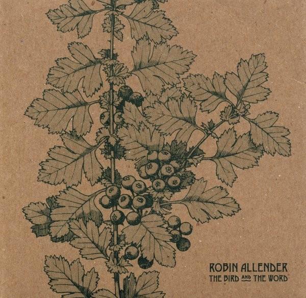 Robin Allender – The Bird And The Word, Cd's en Dvd's, Cd's | Rock, Zo goed als nieuw, Poprock, Ophalen of Verzenden