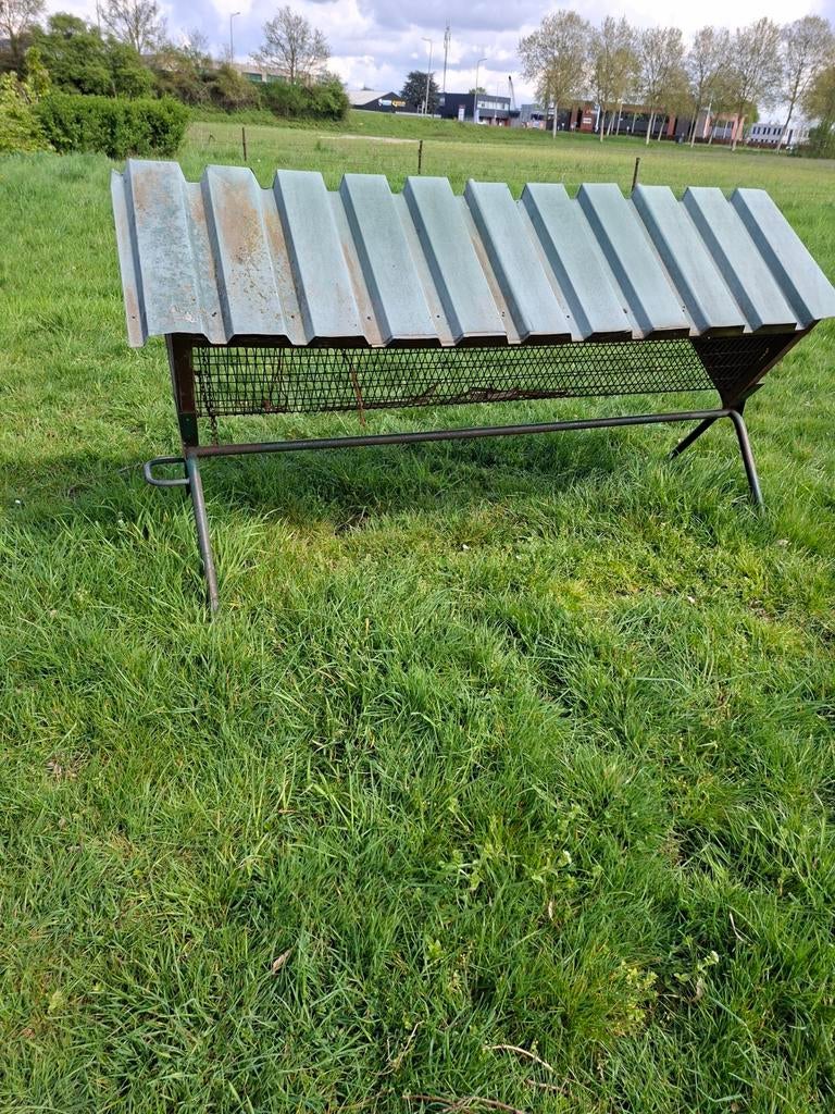 Hooiruif, Dieren en Toebehoren, Schapen, Geiten en Varkens, Meerdere dieren, Schaap