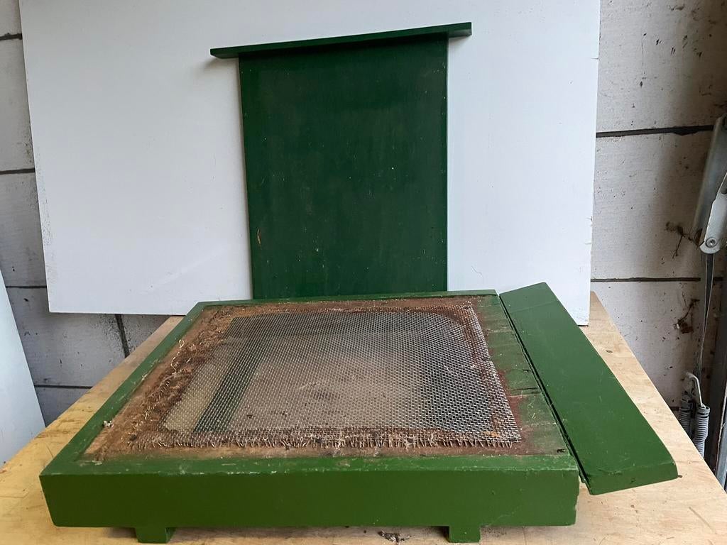 Bijenkast bodem, Bijen