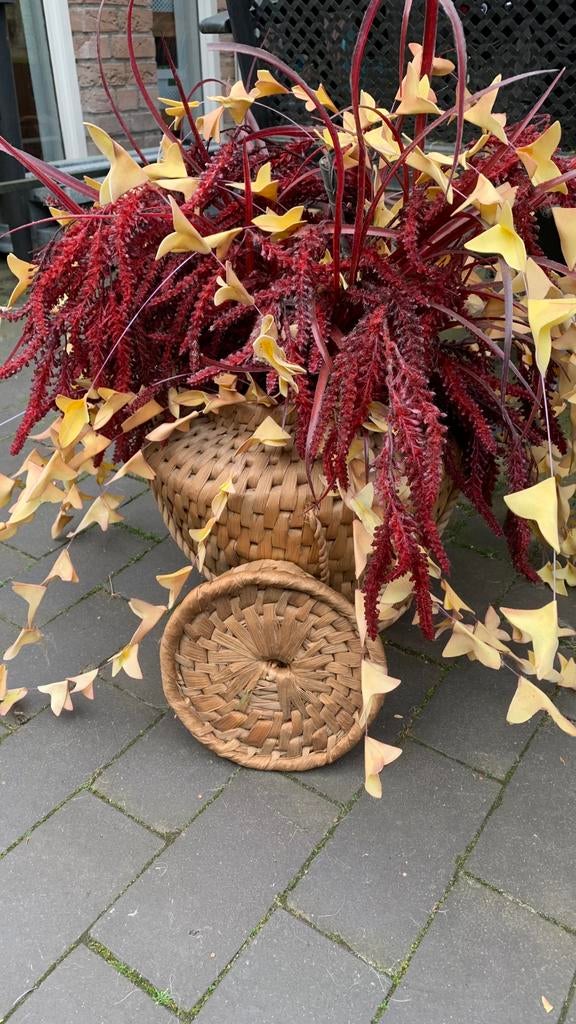 Rieten kruik met inhoud, Ophalen, Gebruikt