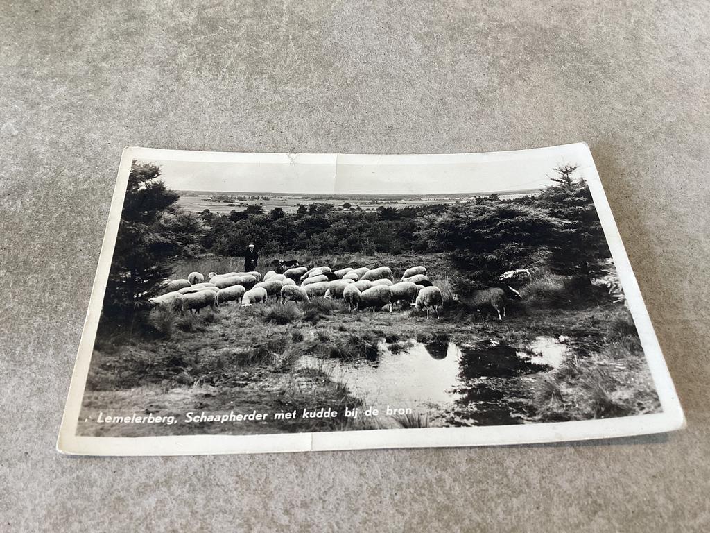 Lemelerberg.   Schaapherder met kudde bij de bron    1957, Ophalen of Verzenden, 1940 tot 1960
