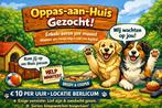 Gezocht: Oppas aan huis Berlicum dag/dagdeel, Particuliere oppas