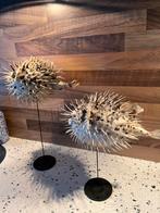 Set van 2 kogelvissen, Ophalen of Verzenden, Zo goed als nieuw