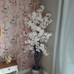 Bloesemboom, Ophalen of Verzenden