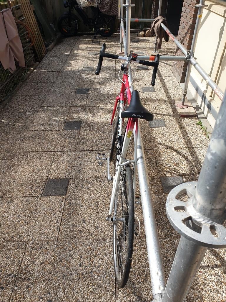 Vintage giant speeder, Fietsen en Brommers, Ophalen, Gebruikt, 10 tot 15 versnellingen, Giant