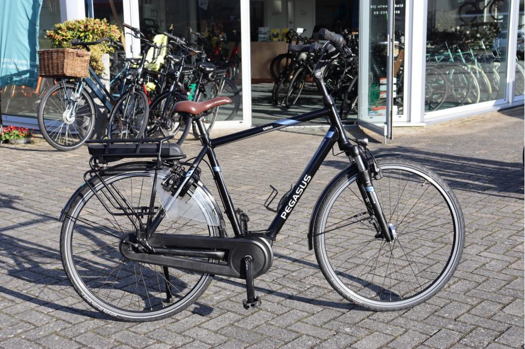 Pegasus Siena E7F l Bosch Active Line l 400wh l 58cm