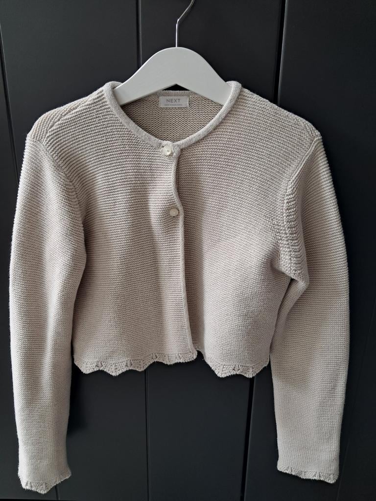 Prachtig vestje van Next, Ophalen of Verzenden, Zo goed als nieuw, Meisje, Trui of Vest