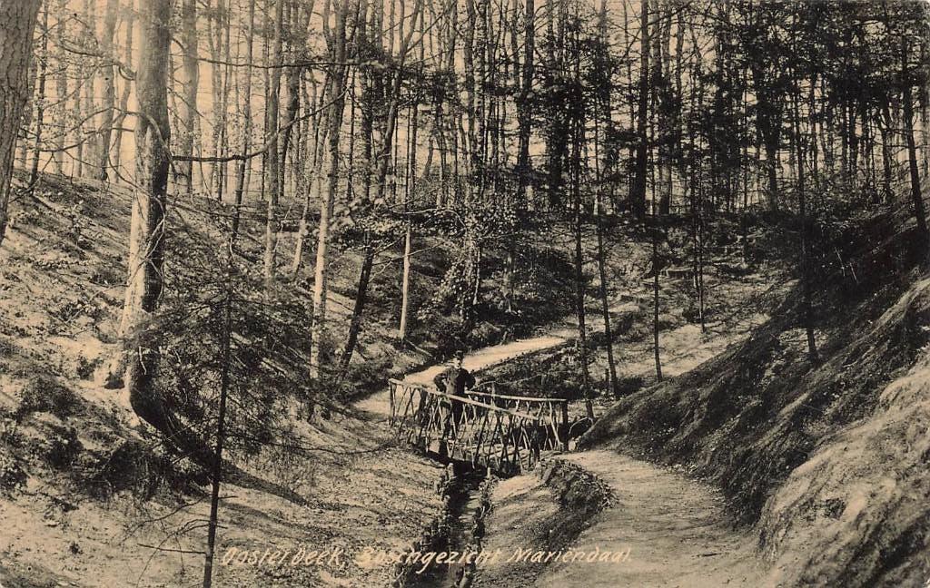 Oosterbeek, Boschgezicht Mariëndaal  1906, Ophalen of Verzenden, Voor 1920, Ongelopen, Gelderland