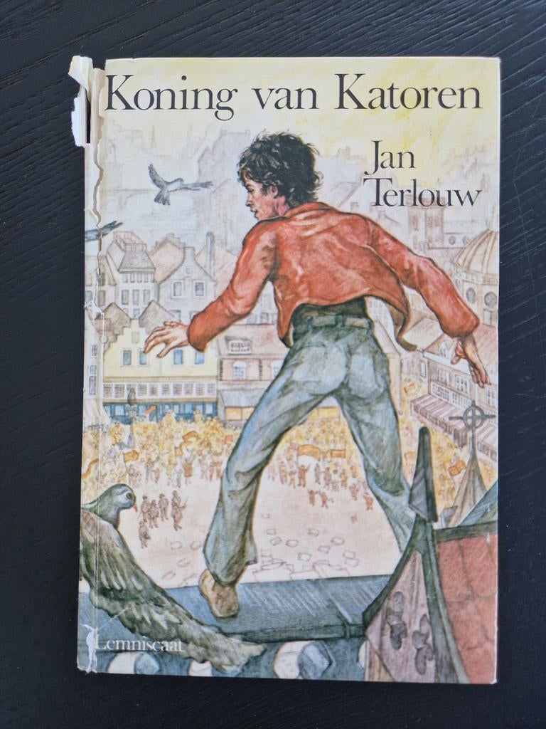 Koning van Katoren - Jan Terlouw (ISBN: 9060690885), Boeken, Ophalen of Verzenden, Gelezen, Jan Terlouw, Fictie algemeen