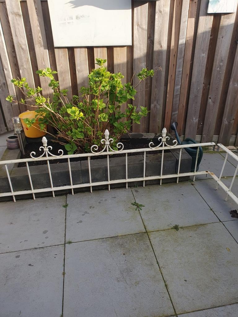 Tuin hek, Ophalen of Verzenden, IJzer, Sierhekwerk