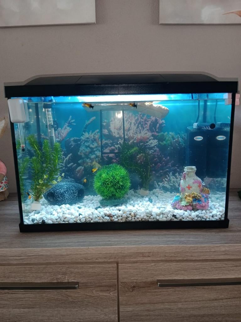 Te koop aangeboden aquarium superfish 70 l met toebehoren, Ophalen, Leeg aquarium