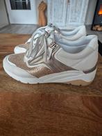 Medicus Van Haren schoenen maat 38, sneakers., Ophalen of Verzenden, Zo goed als nieuw, Sneakers of Gympen