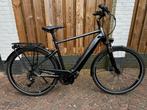 Pegasus Premio Evo 10 Lite 750 W maat 56 Heren e-bike, Gebruikt, Versnellingen, Schijfrem, 53 tot 57 cm