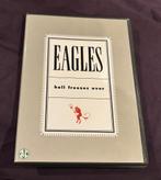 Eagles, Hell Freezes Over (DVD), Alle leeftijden, Ophalen of Verzenden, Zo goed als nieuw, Muziek en Concerten