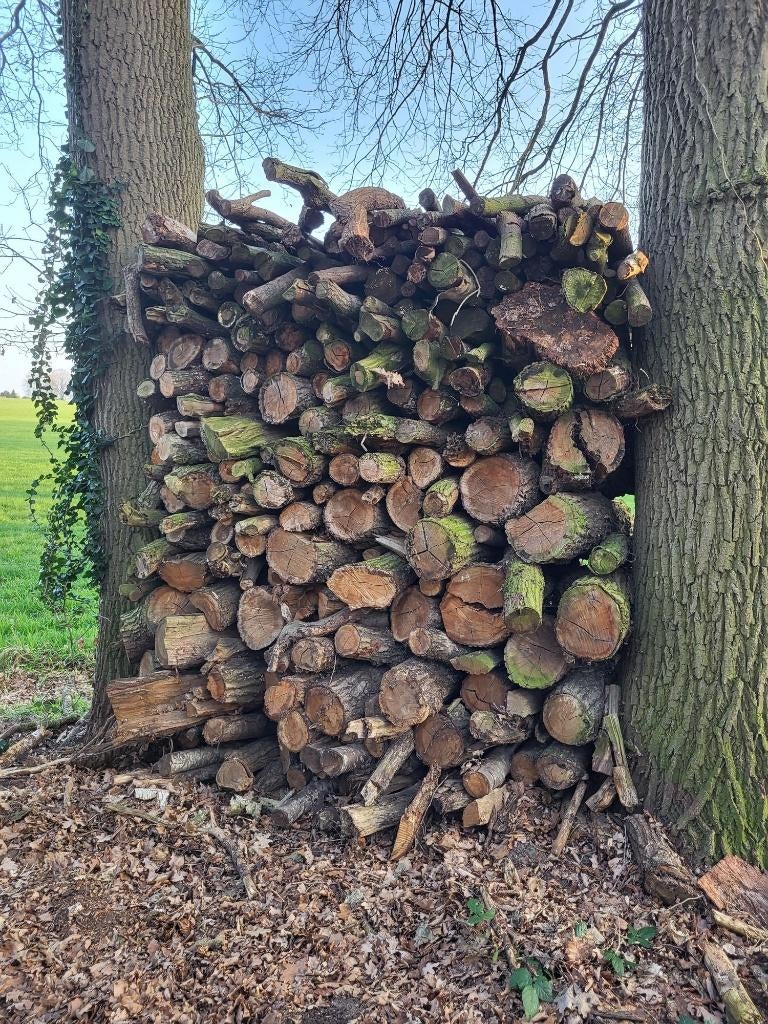 Openhaardhout, kachelhout, brandhout, stookhout, Ophalen