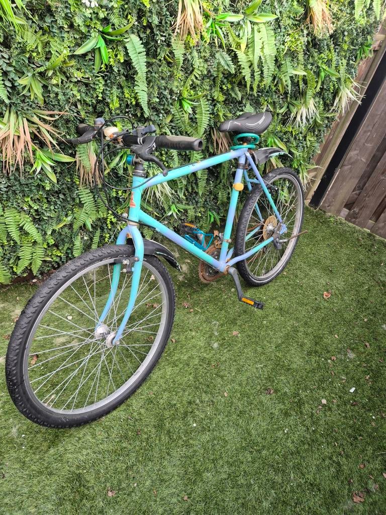 Retro Raleigh Fiets - Liefde Nodig!, Fietsen en Brommers, Fietsen | Mountainbikes en ATB, Gebruikt, Heren, Geen vering, 53 tot 57 cm