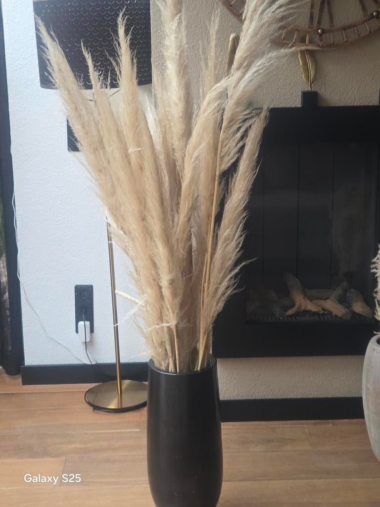 Mooie potten 2 stuks  met pluimen, Huis en Inrichting, Woonaccessoires | Vazen, Overige kleuren, Ophalen of Verzenden, Minder dan 50 cm
