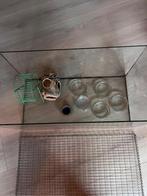 Glazen knaagdieren bak met toebehoren.  60x30x30cm., Ophalen, Zo goed als nieuw