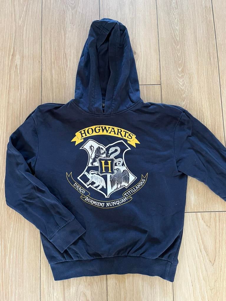 Trui Harry Potter / Hogwarts maat 146 152, Kinderen en Baby's, Ophalen of Verzenden, Zo goed als nieuw, Jongen of Meisje, Trui of Vest