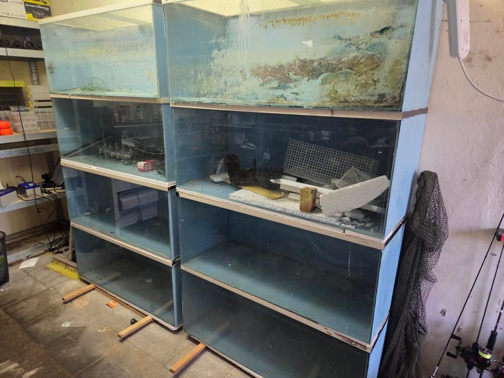 Tekoop: kweek aquariums 9x 100cm, Dieren en Toebehoren, Vissen | Aquaria en Toebehoren, Ophalen, Leeg aquarium