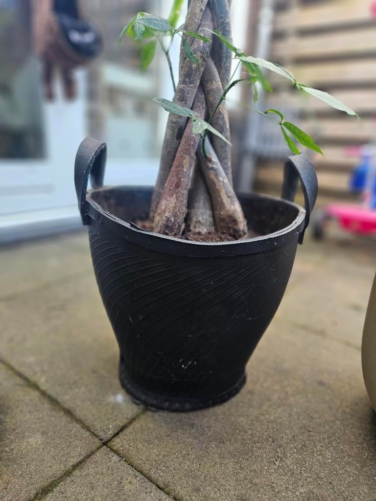 Rubberen bloempot, diameter ca. 40 cm, Overige materialen, Gebruikt, 40 cm of meer, Ophalen of Verzenden