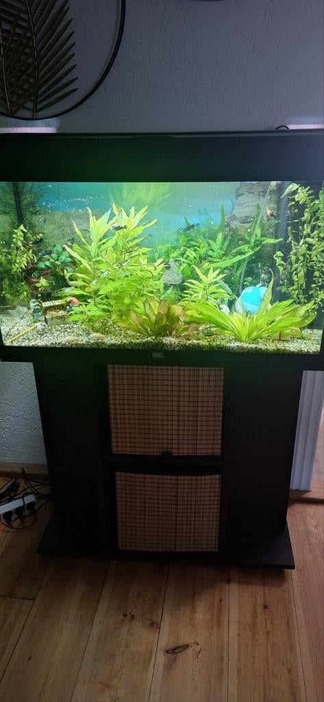 Aquarium  met onderkast, Ophalen, Leeg aquarium