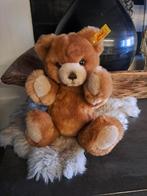 Steiff beer, Ophalen of Verzenden, Zo goed als nieuw, Stoffen beer, Steiff