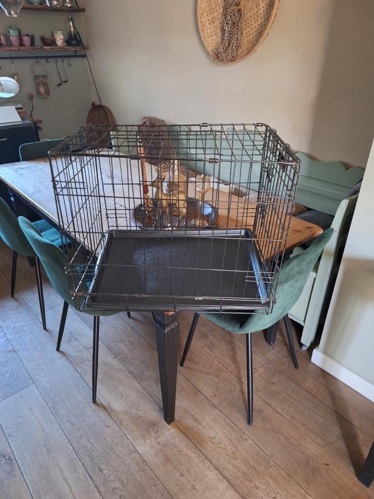 Te koop, Ophalen, 75 tot 110 cm, Minder dan 65 cm