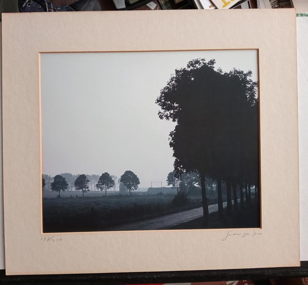 Foto George'90 weg met bomen, Antiek en Kunst, Kunst | Litho's en Zeefdrukken, Ophalen of Verzenden