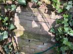 Gratis wat  bakstenen H21 x L5,3 cm, Ophalen of Verzenden, Gebruikt, Bakstenen