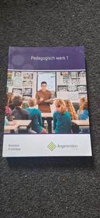 Pedagogisch werk 1 – Angerenstein studieboek MBO, Boeken, Schoolboeken, Gelezen, Overige vakken, Ophalen of Verzenden, Angerenstein
