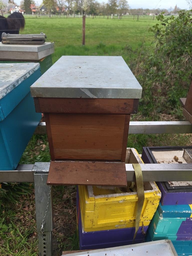 6 ramer red cedar spaarkast, Dieren en Toebehoren, Bijen