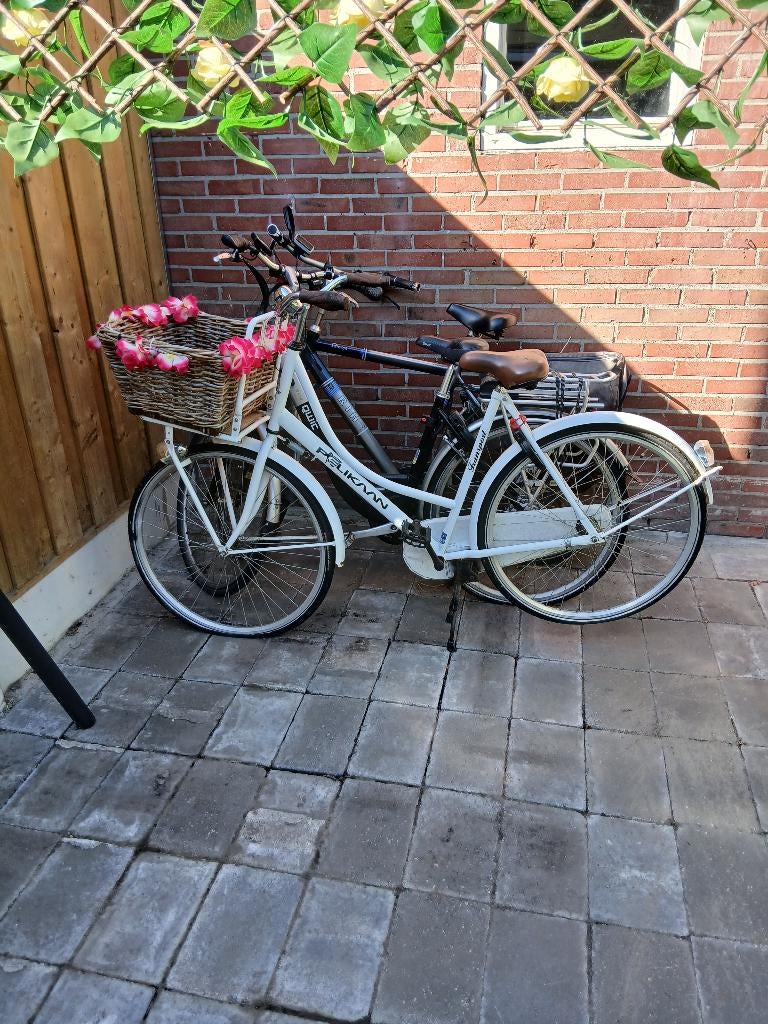 Oma fiets, Ophalen, Terugtraprem, Gebruikt, Handrem