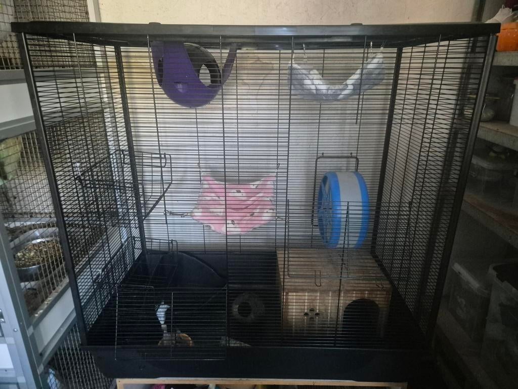 Grote knaagdierenkooi, Dieren en Toebehoren, Ophalen, Kooi, Gebruikt, 90 cm of meer