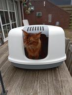 hoek kattebak / driehoek kattenbak excl. kat, Ophalen