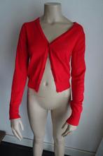 mooi rood vestjr/cardigan maat S Hearts and roses, Kleding | Dames, Nieuw, Hearts of roses, Rood, Ophalen