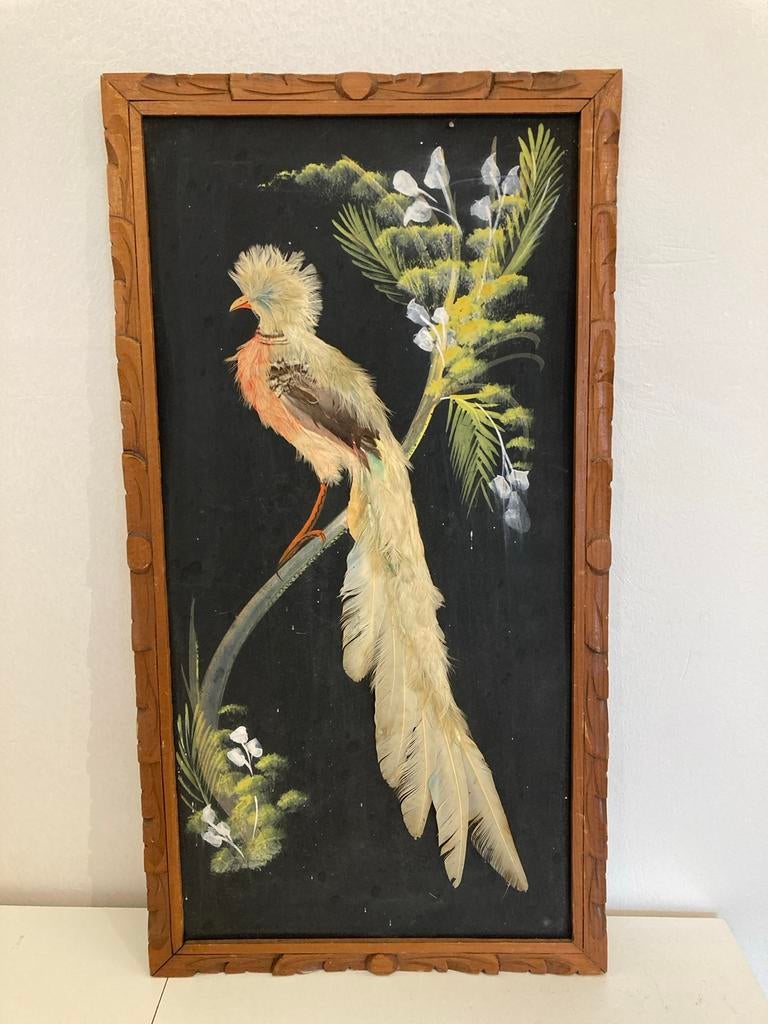 Schilderij met vogel van veren in houten lijst, Antiek en Kunst, Ophalen of Verzenden