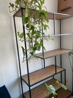 Xenos  vakkenkast, Huis en Inrichting, Ophalen, Zo goed als nieuw