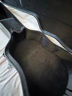 Eastman gitaar met koffer, Muziek en Instrumenten, Ophalen of Verzenden, Zo goed als nieuw, Western- of Steelstringgitaar, Met koffer