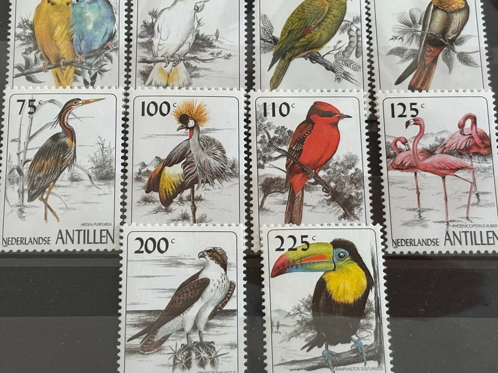 Vogel, Nederlandse Antillen 1997, Postzegels en Munten, Ophalen of Verzenden, Postfris, Dier of Natuur