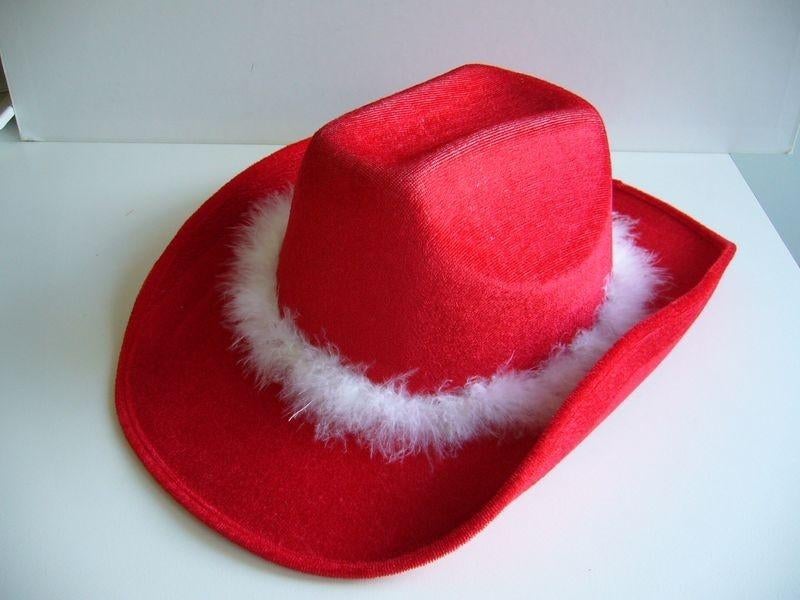 Cowboyhoed met bunny rand nieuw, Kleding | Dames, Hoeden en Petten, Ophalen of Verzenden, Nieuw, One size fits all