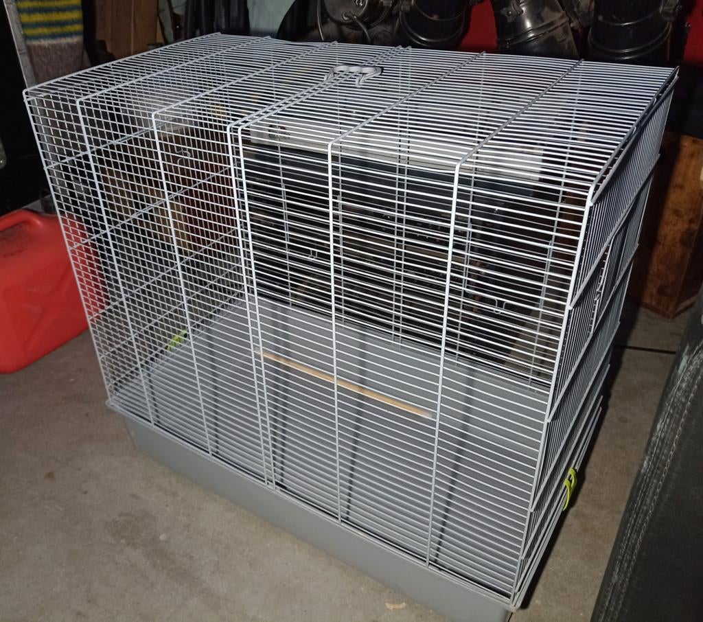 Nette knaagdierenkooi, schoon en heel. Ratten marmotten etc., Ophalen, Zo goed als nieuw, 75 tot 110 cm, Minder dan 65 cm