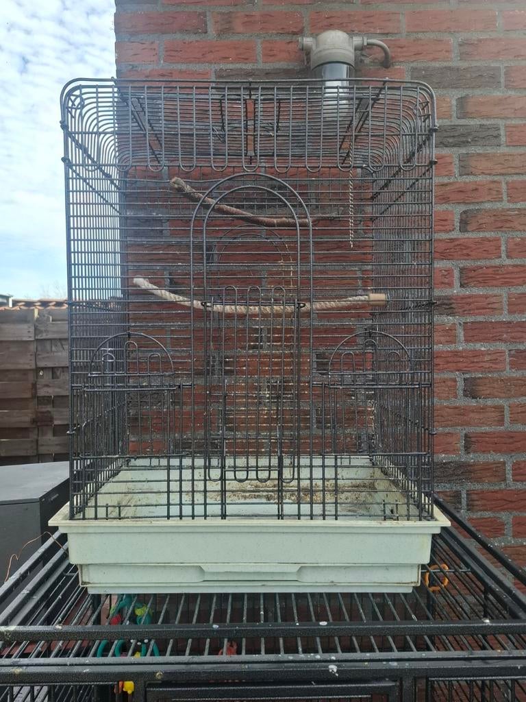 te koop nette vogelkooi, Dieren en Toebehoren, Vogels | Hokken en Kooien, Ophalen of Verzenden, Zo goed als nieuw, Metaal, Vogelkooi