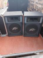 Peavey luidsprekers, Audio, Tv en Foto, Luidsprekers, Ophalen of Verzenden