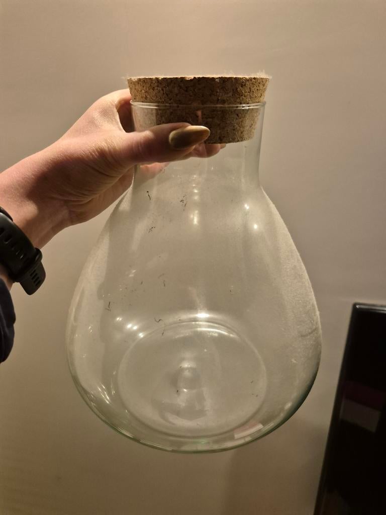 Glazen terrarium (leeg) met kurk voor DIY, Ophalen, Overige kleuren, Glas, Minder dan 50 cm