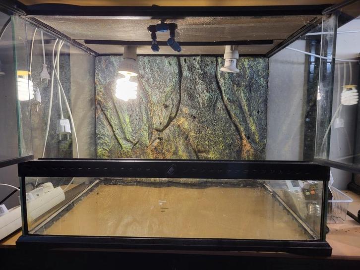 Terrarium, paludarium, exo terra., Dieren en Toebehoren, Reptielen en Amfibieën | Toebehoren, Zo goed als nieuw, Ophalen