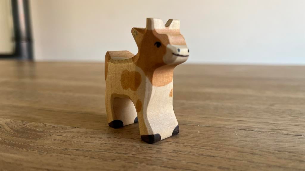 Holztiger geitje, Ophalen of Verzenden, Gebruikt, Jongen of Meisje